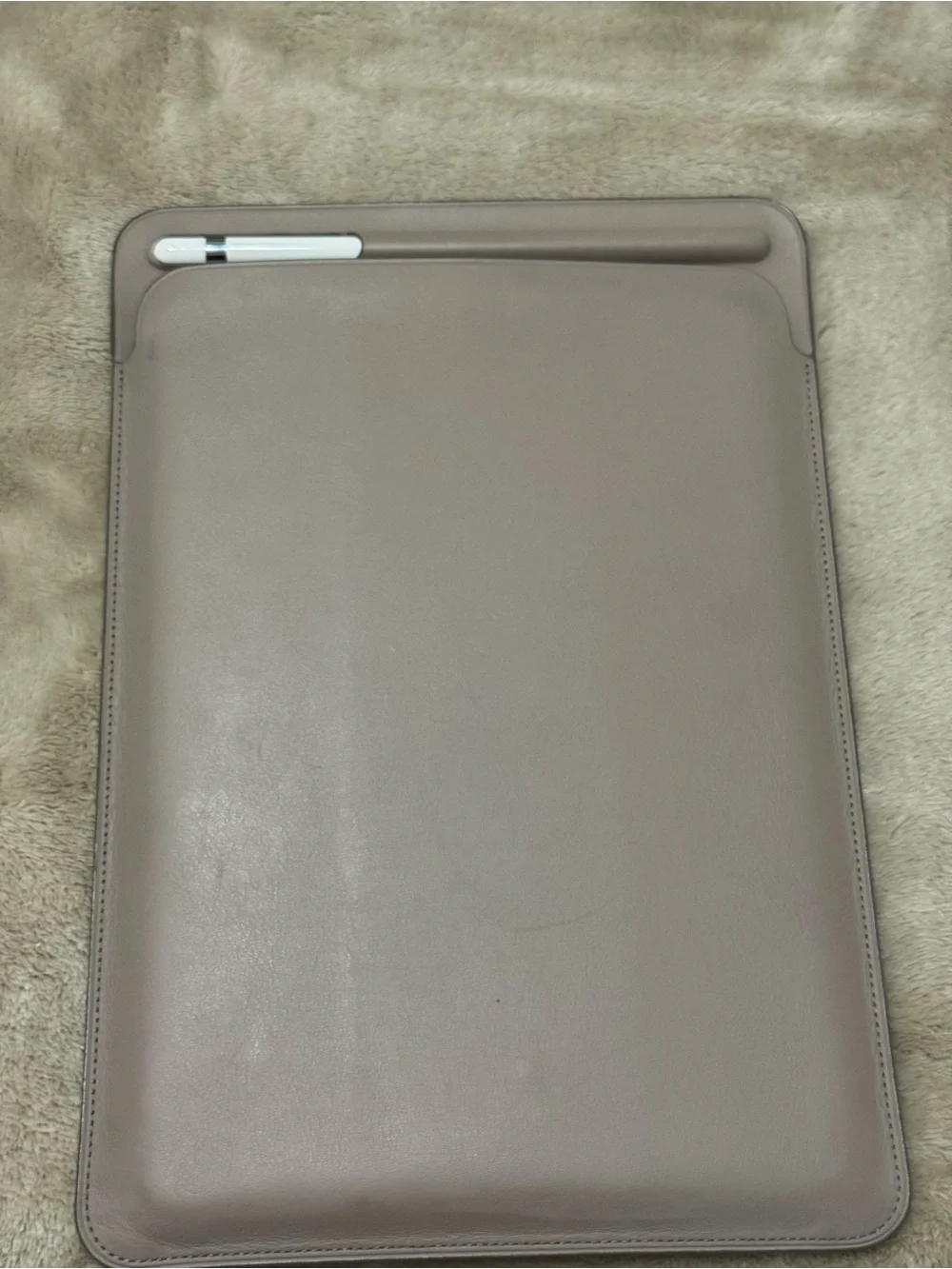 iPad Pro 10.5-inch Leather Case